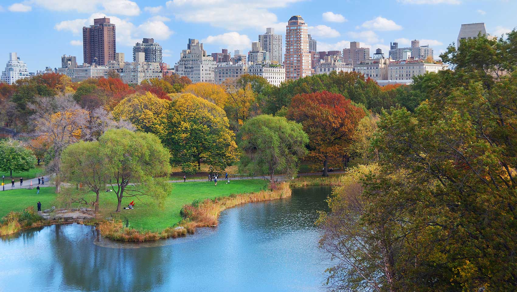 Aerial view of Central Park